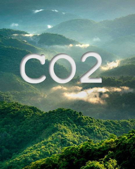 CO2